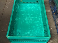Nn crates - afbeelding 4 van  4
