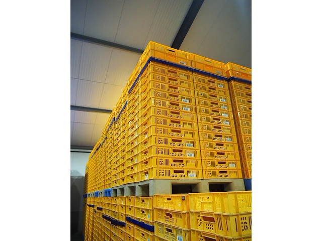 Nn crates - afbeelding 5 van  11