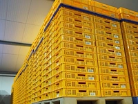 Nn crates - afbeelding 5 van  11