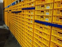 Nn crates - afbeelding 6 van  11
