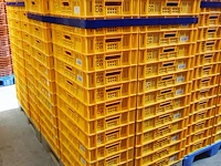Nn crates - afbeelding 8 van  11