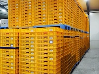 Nn crates - afbeelding 1 van  10