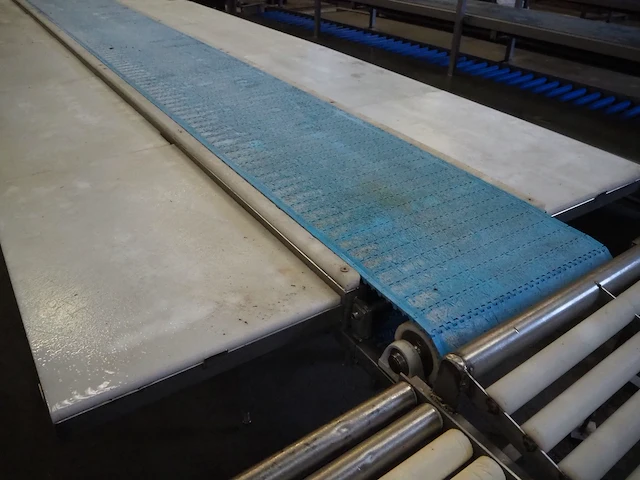 Nn deboning table - afbeelding 11 van  13