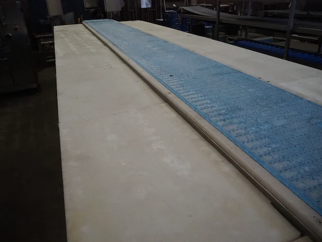 Nn deboning table - afbeelding 12 van  13