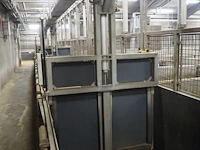 Nn driveway for pigs - afbeelding 5 van  27