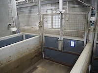 Nn driveway for pigs - afbeelding 22 van  27