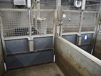 Nn driveway for pigs - afbeelding 23 van  27