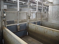 Nn driveway for pigs - afbeelding 24 van  27