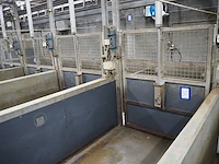 Nn driveway for pigs - afbeelding 25 van  27