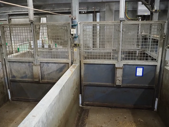 Nn driveway for pigs - afbeelding 26 van  27