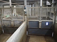 Nn driveway for pigs - afbeelding 26 van  27