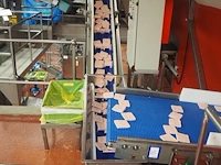 Nn elevating belt - afbeelding 2 van  6