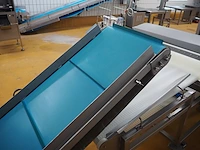 Nn elevating belt - afbeelding 7 van  8