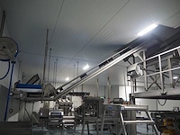 Nn elevating belt - afbeelding 1 van  6