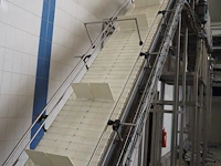 Nn elevating belt - afbeelding 3 van  4