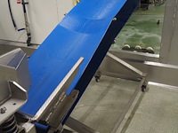 Nn elevating belt - afbeelding 4 van  7