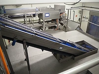 Nn elevating belt - afbeelding 1 van  12