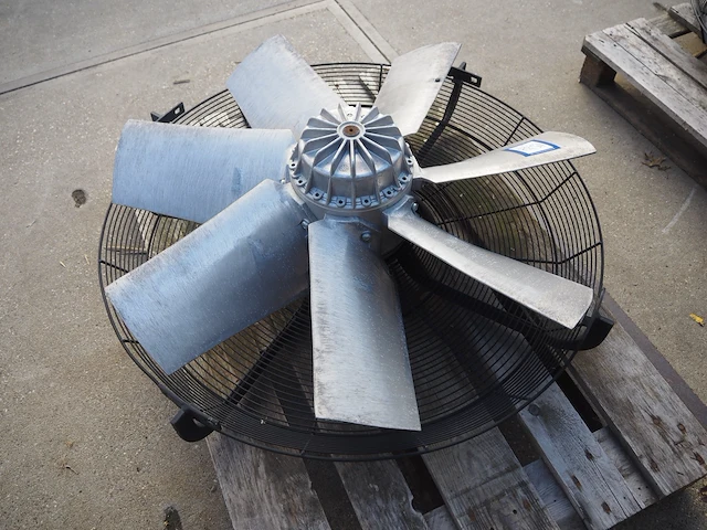 Nn fan - afbeelding 4 van  6