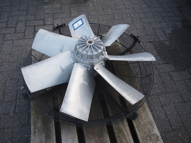 Nn fan - afbeelding 2 van  6