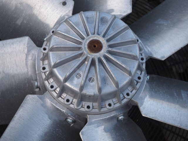 Nn fan - afbeelding 5 van  6