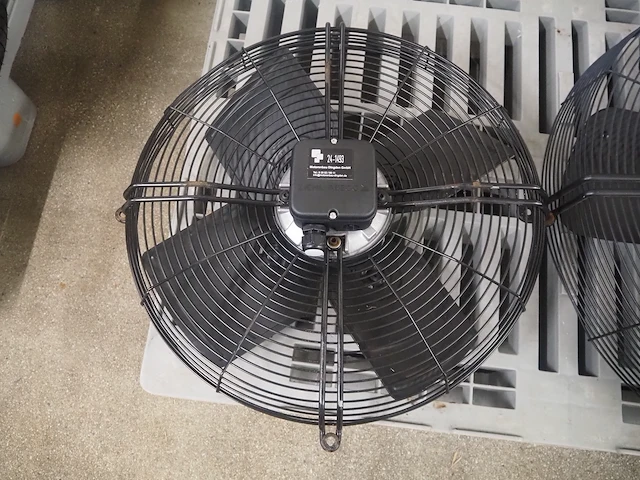 Nn fans - afbeelding 6 van  8