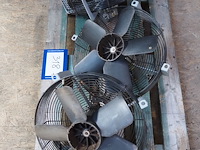 Nn fans - afbeelding 4 van  4