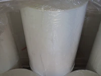 Nn film for ulma thermoformer - afbeelding 10 van  24