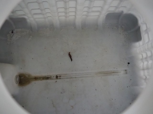 Nn ibc tank - afbeelding 4 van  5