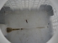 Nn ibc tank - afbeelding 4 van  5