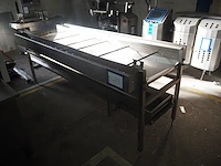Nn infeed bunker with transport belt - afbeelding 2 van  6