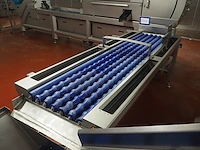 Nn inspection conveyor - afbeelding 3 van  9