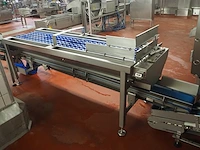 Nn inspection conveyor - afbeelding 4 van  9