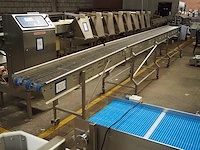 Nn mesh belt - afbeelding 1 van  8