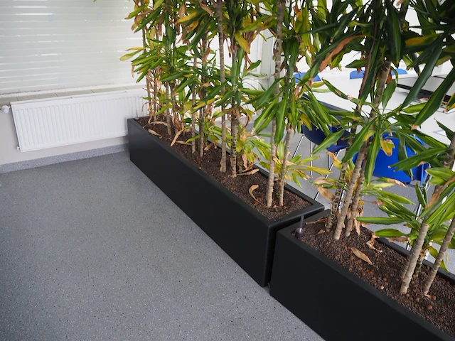 Nn plants - afbeelding 7 van  8