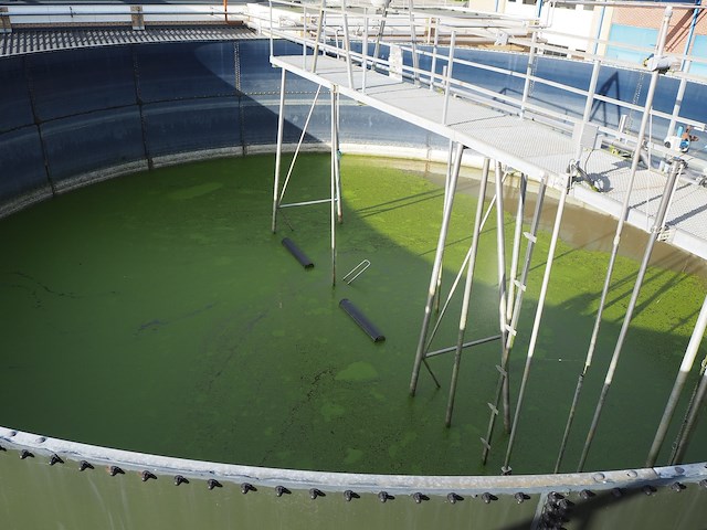 Nn platform with stairs - afbeelding 7 van  16