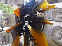 Nn plucker - afbeelding 5 van  13