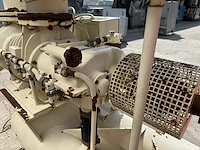 Nn pump - afbeelding 4 van  9