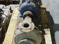 Nn pump - afbeelding 3 van  6