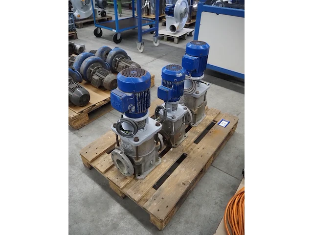 Nn pumps - afbeelding 1 van  8
