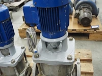 Nn pumps - afbeelding 5 van  8