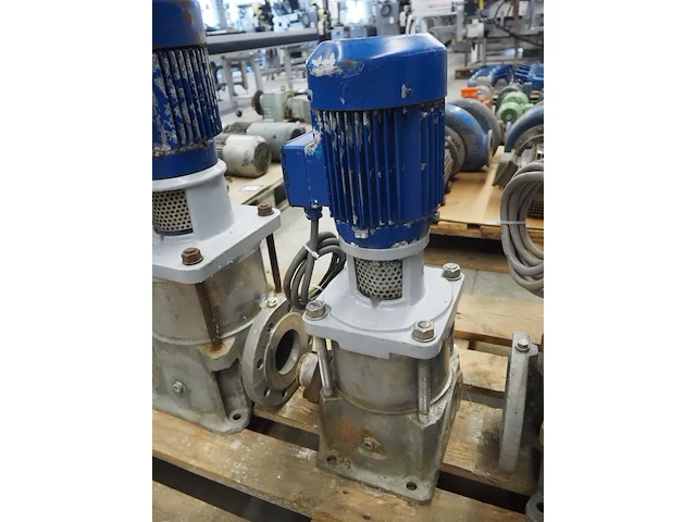 Nn pumps - afbeelding 6 van  8