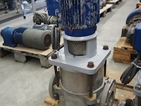 Nn pumps - afbeelding 7 van  8