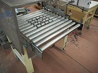 Nn roller conveyor - afbeelding 5 van  10