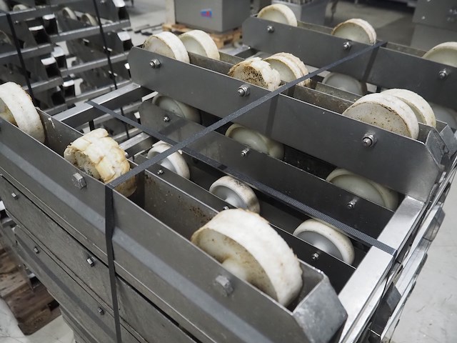 Nn rollies - afbeelding 5 van  6