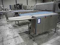 Nn shuttle conveyor - afbeelding 1 van  9