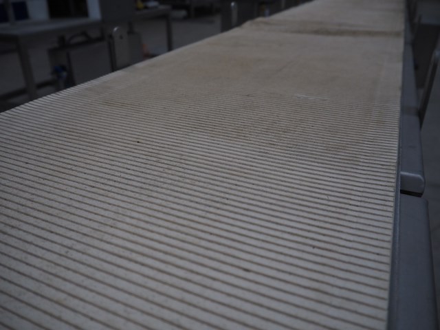 Nn sorting belt - afbeelding 10 van  13