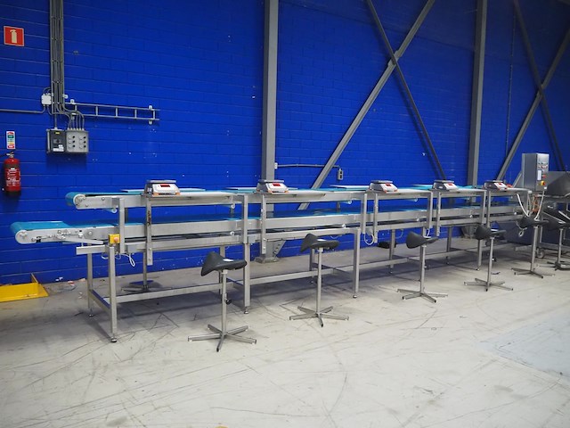 Nn sorting belt - afbeelding 5 van  12