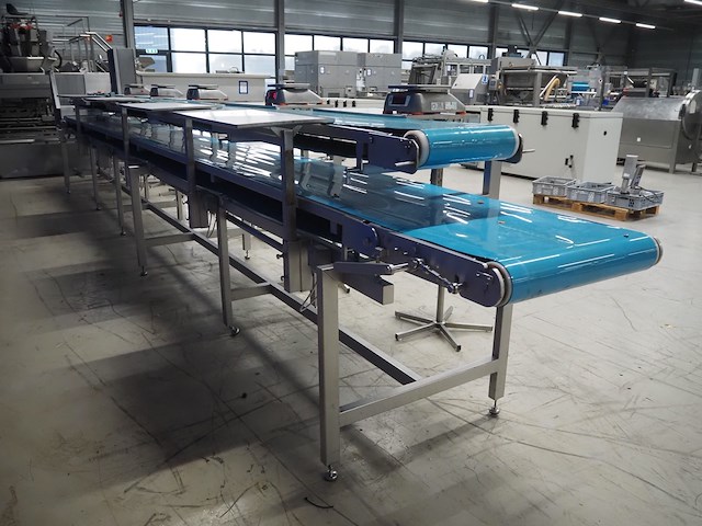 Nn sorting belt - afbeelding 6 van  12