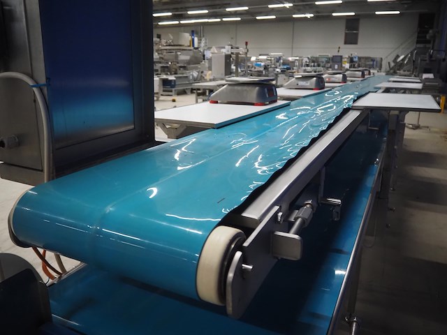 Nn sorting belt - afbeelding 8 van  12