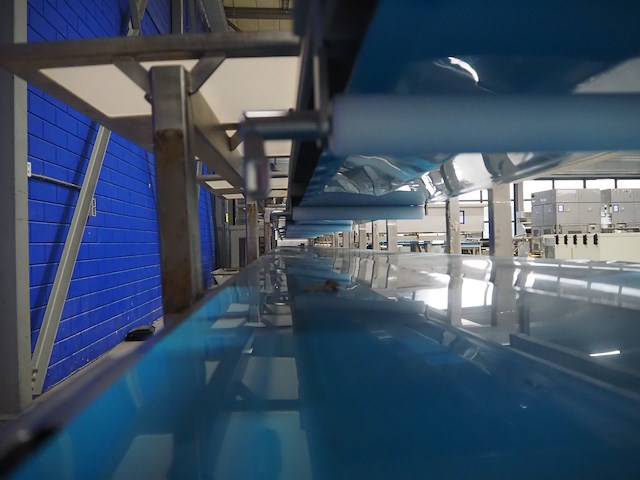 Nn sorting belt - afbeelding 11 van  12